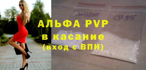 хмурый Алексин