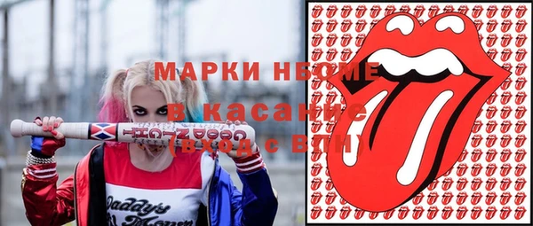 хмурый Алексин