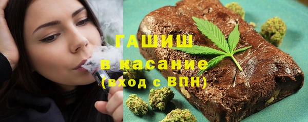 хмурый Алексин